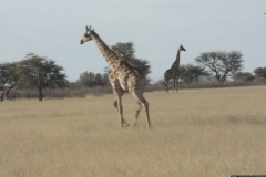 NA_0094
