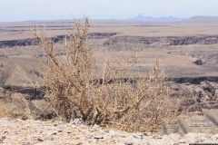 NA_0350