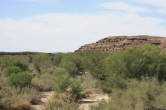 NA_0395