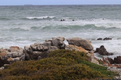 CA_0032