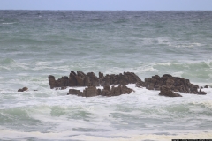 CA_0040