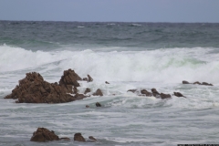 CA_0063