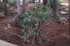 JB_0002