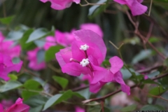 JB_0005