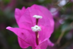 JB_0006