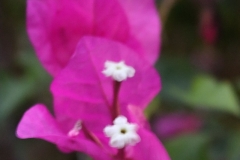 JB_0007