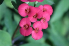 JB_0008
