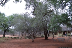 JB_0032