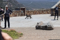 KNP_0005