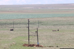 KNP_0130