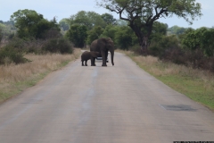 KNP_0160
