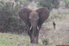 KNP_0169