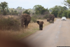 KNP_0172