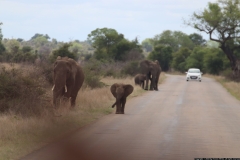 KNP_0173