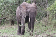 KNP_0203