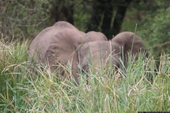 KNP_0207