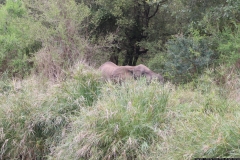 KNP_0208