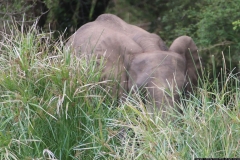 KNP_0209