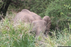 KNP_0210