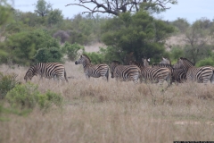 KNP_0224