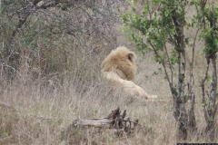 KNP_0259