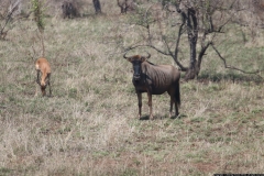 KNP_0272