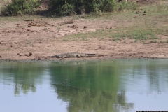 KNP_0298