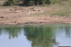 KNP_0299