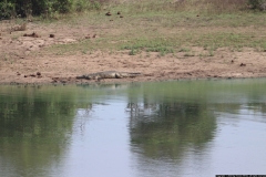 KNP_0300