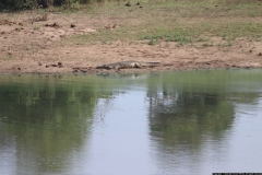 KNP_0301
