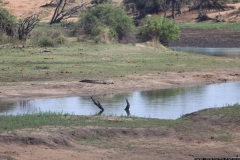 KNP_0307