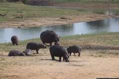 KNP_0308