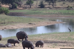KNP_0309