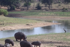KNP_0310