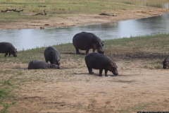 KNP_0312