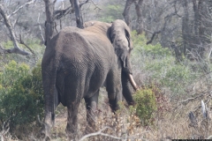 KNP_0318