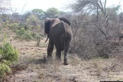 KNP_0321