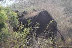 KNP_0322