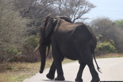 KNP_0323