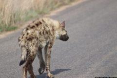 KNP_0326