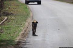 KNP_0332