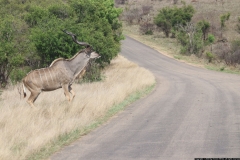 KNP_0341