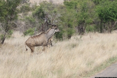 KNP_0342