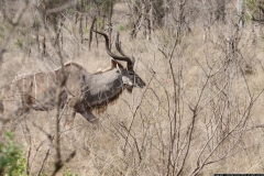 KNP_0344