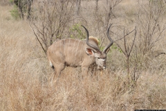 KNP_0353