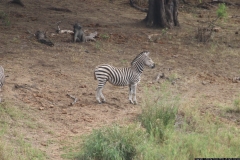 KNP_0385