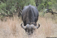 KNP_0401
