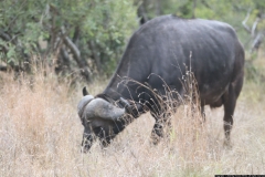KNP_0402