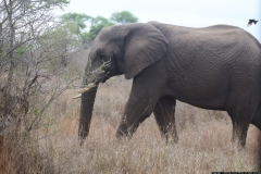 KNP_0405