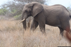 KNP_0406